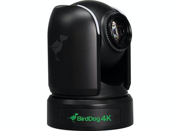 Camera robotica BirdDog P4K
