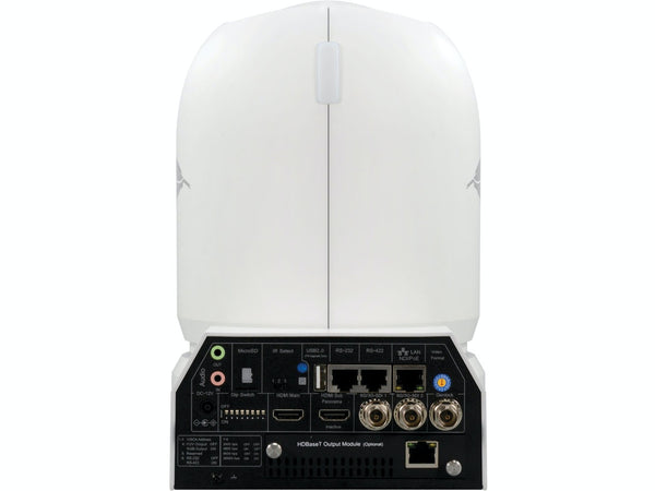 Camera robotica BirdDog P4K