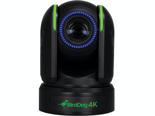 Camera robotica BirdDog P4K