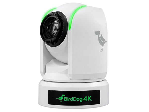 Camera robotica BirdDog P4K