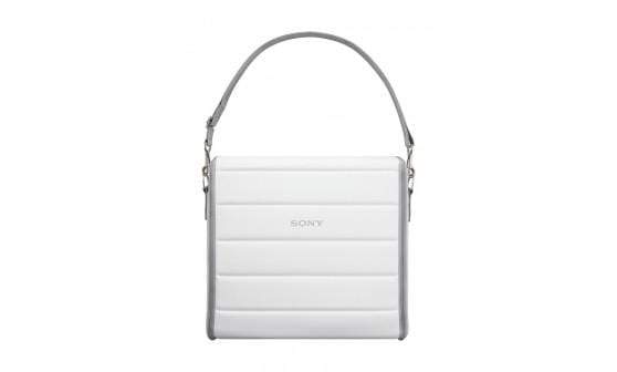 Geanta pentru Sony Anycast Touch