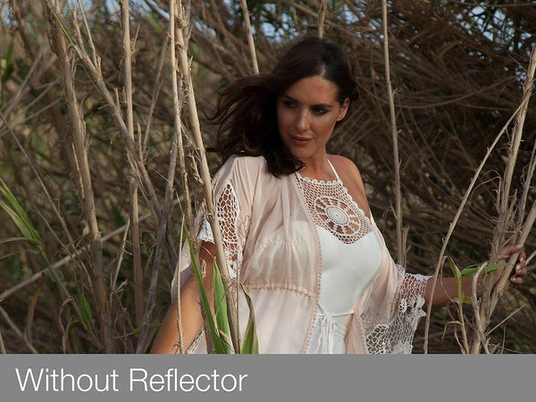 Lastolite blenda pliabila argintiu/auriu