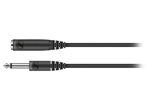 Made in Romania: Sennheiser XSW-D set pentru instrumente