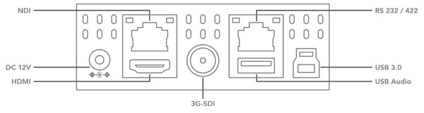 Camera robotica BirdDog P100