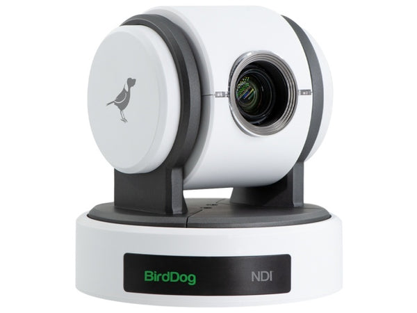 Camera robotica BirdDog P100